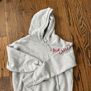 Waseda University Hoodie w/ Logo & Sleeve Design